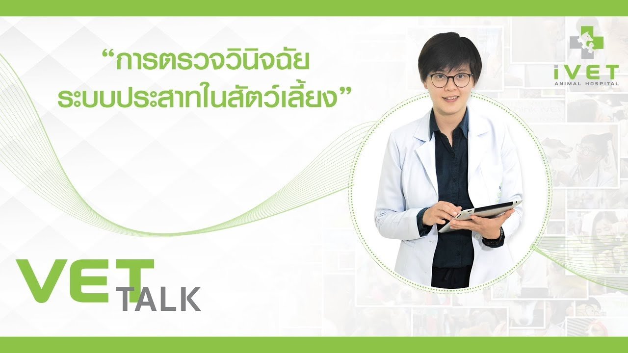 การตรวจวินิจฉัยระบบประสาทในสัตว์เลี้ยง การตรวจวินิจฉัยระบบประสาทในสัตว์เลี้ยง